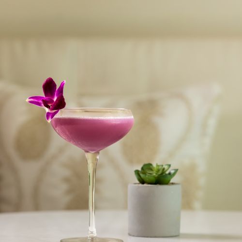 A pink cocktail in a stemmed glass, topped with a purple orchid, beside a small potted plant.