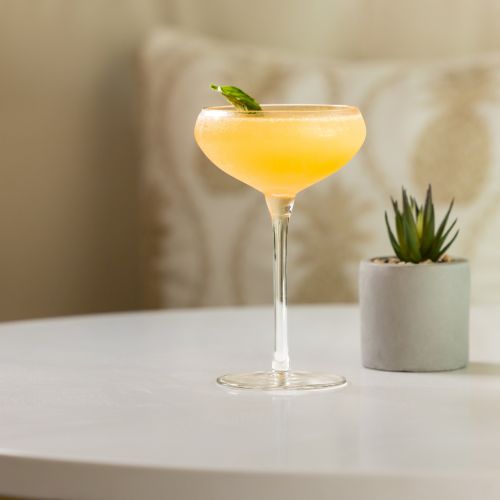 A yellow cocktail in a stem glass, garnished with a green leaf, with a small potted plant in the background.