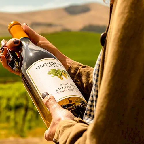 A person in a vineyard uncorks/holds a bottle of wine outdoors with hills in the background.