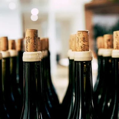 A close-up of dark green glass bottles lined up in rows with corks and white caps, likely champagne or wine bottles.