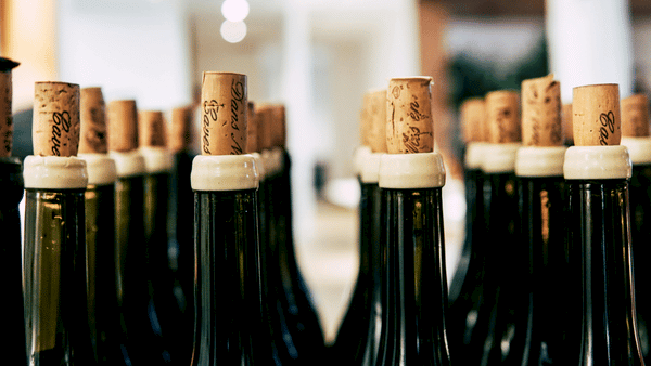 A close-up of dark green glass bottles lined up in rows with corks and white caps, likely champagne or wine bottles.